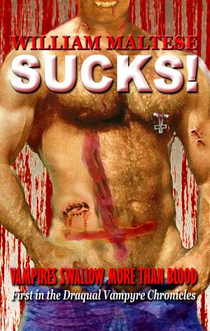 Cover of the book Sucks! by A.C. Katt