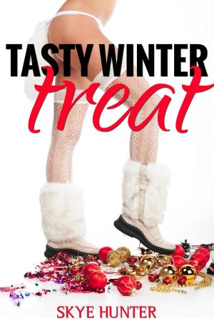 Cover of the book Tasty Winter Treat by Skye Hunter