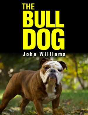 Book cover of The Bulldog