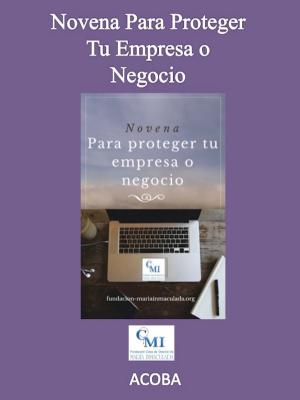 Cover of the book Novena para proteger tu empresa o negocio by ACOBA