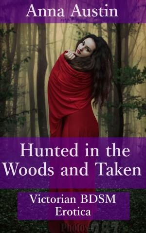 Book cover of Hunted in the Woods and Taken