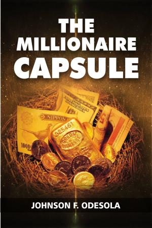 Book cover of The Millionaire Capsule
