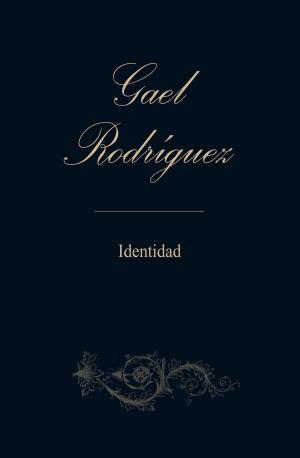 Cover of the book Identidad by Gael Rodríguez
