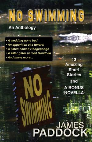 Book cover of No Swimming