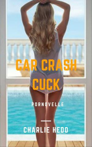 bigCover of the book Car Crash Cuck by 