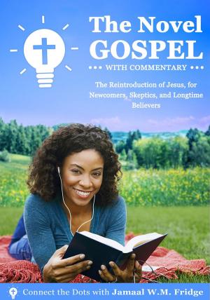 Cover of the book The Novel Gospel with Commentary: The Reintroduction of Jesus, for Newcomers, Skeptics, and Longtime Believers by Israel Olusore