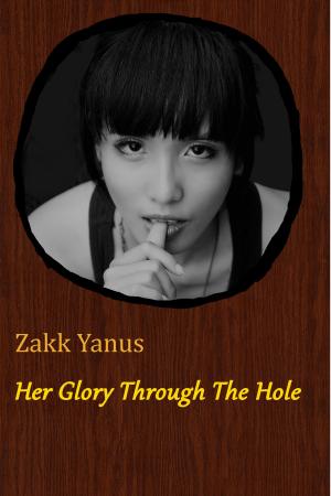 Cover of the book Her Glory Through The Hole by Melissa Mcclone