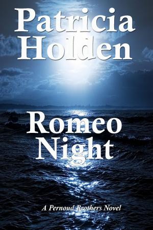Book cover of Romeo Night