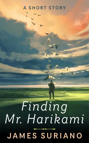 Cover of the book Finding Mr. Harikami by Daniel Sinclair
