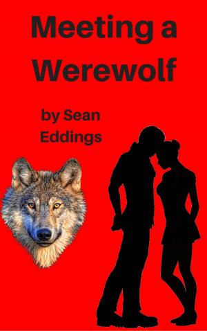 Cover of the book Meeting A Werewolf by D. Love
