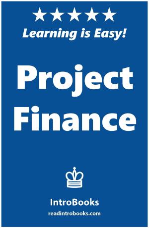 bigCover of the book Project Finance by 