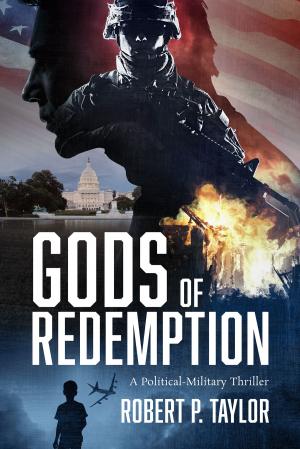 bigCover of the book Gods of Redemption by 