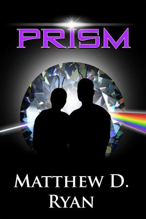Book cover of Prism