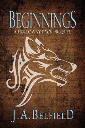 Cover of the book Beginnings by Jo Goodman