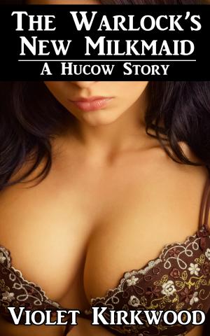bigCover of the book The Warlock's New Milkmaid: A Hucow Story by 