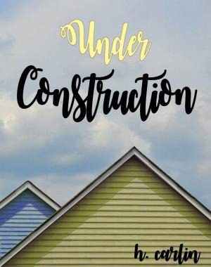 Cover of the book Under Construction by Anna Koning