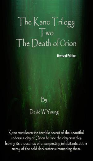 Cover of the book Kane: Death of Orion by Linz Lutz