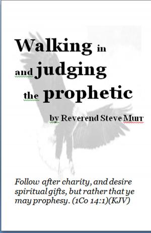 Cover of the book Walking in and Judging the Prophetic by Caroline Bindon
