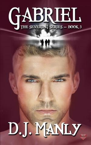 Cover of the book Gabriel by Nicole Dennis