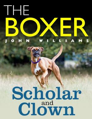 Book cover of The Boxer: Scholar and Clown