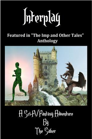 Cover of the book Interplay by Shannon Lee Martin
