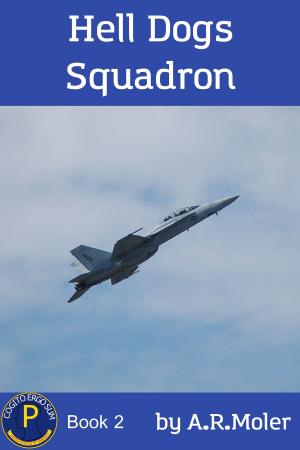 Book cover of Hell Dogs Squadron