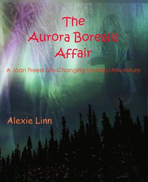 Cover of the book The Aurora Borealis Affair by B.C. Deeks