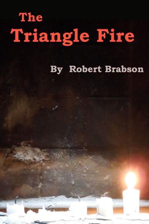 Book cover of The Triangle Fire