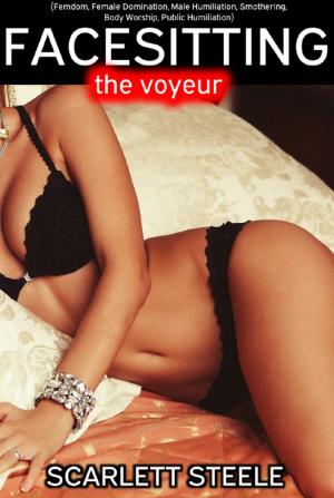 Cover of the book Facesitting the Voyeur by Fabienne Dubois