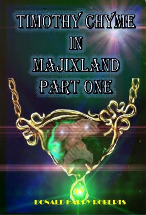 Cover of the book Timothy Chyme In Majixland Part One by Meg Silver