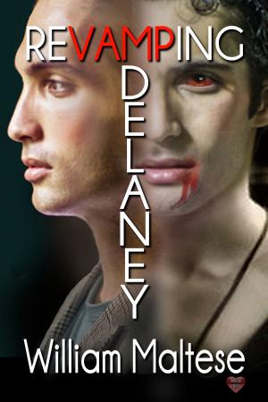 Cover of the book Revamping Delaney by AKM Miles