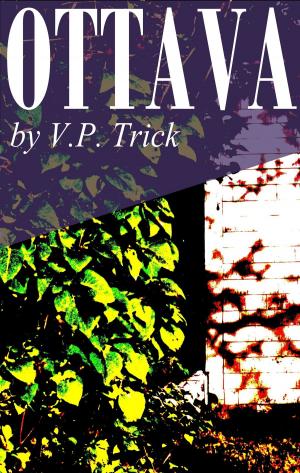 Cover of the book Ottava by Cameron Chapman