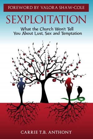 Cover of the book Sexploitation: What the Church Won't Tell You About Lust, Sex and Temptation by Simon Benjamin