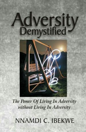 Cover of Adversity Demystified