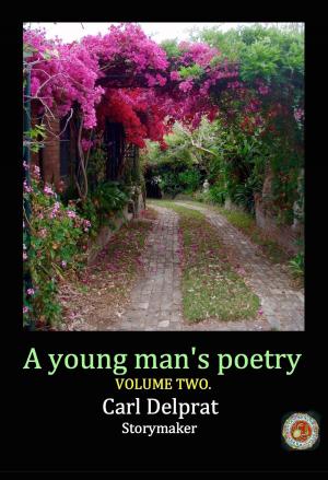 Book cover of A Young Man's Poetry Volume 2.