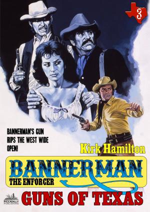Cover of the book Bannerman the Enforcer 3: Guns of Texas by Harris Channing