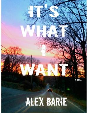 Cover of the book It's What I Want: A Novel by Maude Rückstühl