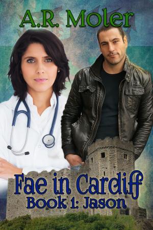 Book cover of Fae in Cardiff Book 1: Jason