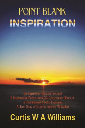 Cover of Point Blank Inspiration: Be Inspired to Reinvent Yourself - 11 Inspirational Poems from 22 Consecutive Hours of a Revolutionary Poetry Explosion; A True Story of Extreme Intense Motivation