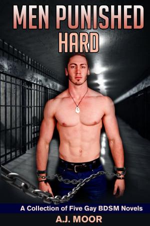 Cover of the book Men Punished Hard: A Collection of Five Gay BDSM Novels by Shannon Jeffries
