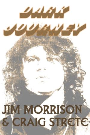 Book cover of Dark Journey