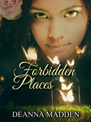 Cover of the book Forbidden Places by Mike Zimmerman
