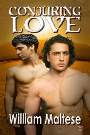 Cover of the book Conjuring Love by Rob Rosen