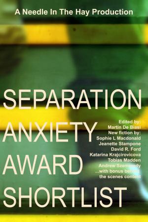 Book cover of Separation Anxiety Award Shortlist