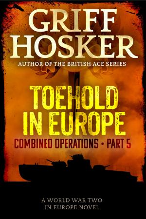 Book cover of Toehold in Europe