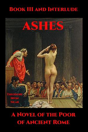 Cover of the book Ashes Book III and Interlude by PJ Port