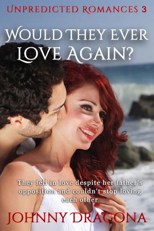 Cover of the book Would They Ever Love Again? by Jeffery Martin Botzenhart
