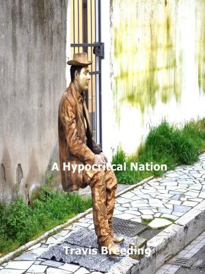 Cover of the book A Hypocritical Nation by Tom Jacibons