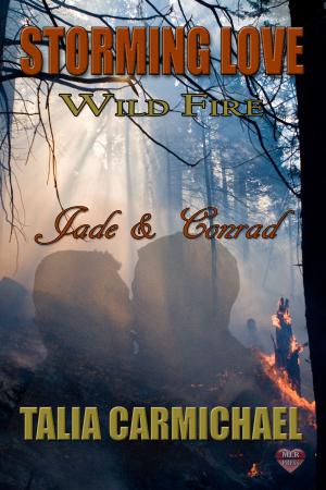 Cover of the book Jade & Conrad by M.E. McLaughlin