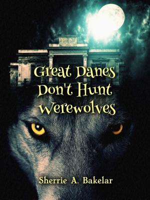 Cover of the book Great Danes Don't Hunt Werewolves by Rob J Meijer